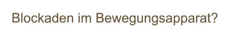 Blockaden im Bewegungsapparat?